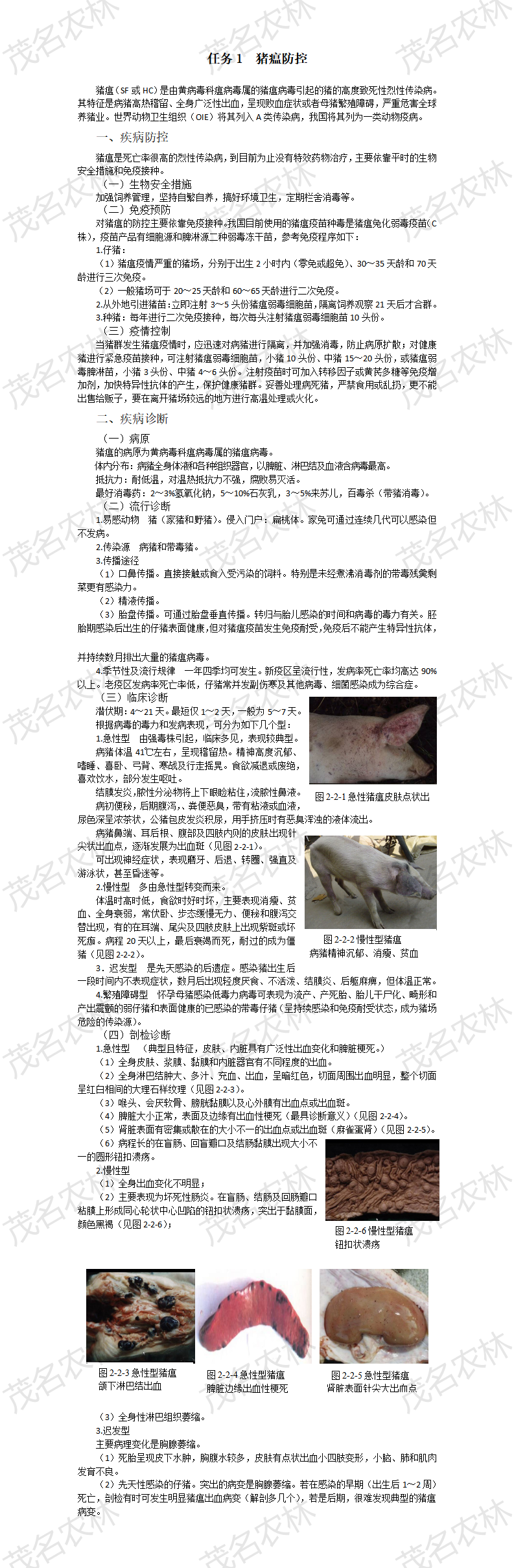 任务1 猪瘟防控.png